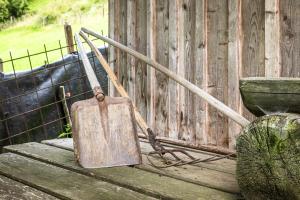 Fotografie z fotogalerie ubytování Aubauerngut v destinaci Mühlbach am Hochkönig