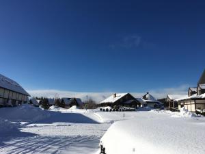 a snow covered town with houses and roofs at Awone Shirakami Juniko in Fukaura