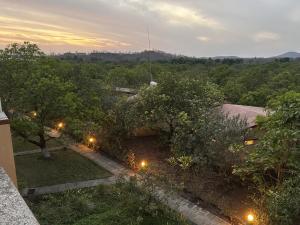 Příroda nedaleko hotelu