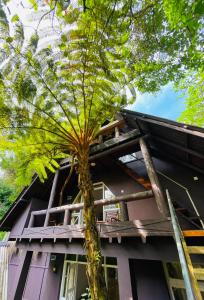 Gallery image of King Fern Cottage in Nuwara Eliya