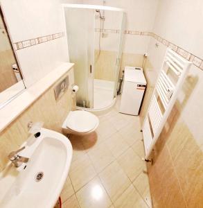 a bathroom with a sink and a shower and a toilet at Park & Stay Central in Piešťany