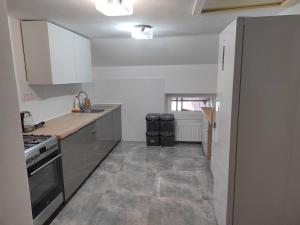 Kuchyňa alebo kuchynka v ubytovaní Dvoupokojový apartmán Penzion Hrádek