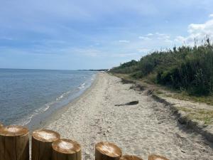 a sandy beach with a fence and the ocean at Studio meublé bord de mer in Santa-Lucia-di-Moriani