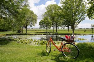 a bike parked in the grass next to a pond at Ancora Sport Resort Hotel in Meolo +86 photos