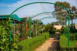 Ferme d'hôtes Bladna Garden外面的花园