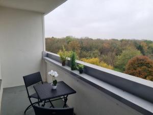 Fotografie z fotogalerie ubytování Apartments in Hattersheim v destinaci Okriftel