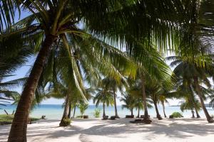 una fila di palme su una spiaggia con l'oceano di Tamu Koh Rong a Koh Rong Island