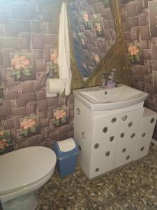a bathroom with a toilet and a sink at Popasul Dacilor in Predeluţ +109 photos