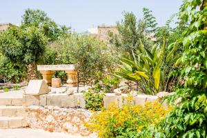 a garden with a stone bench and plants at Nuffara - a charming traditional Farmhouse with a large pool in Xagħra