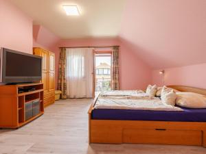 TV a/nebo společenská místnost v ubytování Holiday Home Narcisse by Interhome