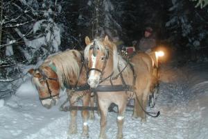 Fotografia z galérie ubytovania Pension Reiterhof Aigner v destinácii Aich