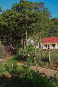 Κήπος έξω από το Đông Măng Homestay