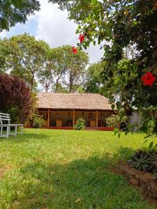 Vườn quanh Rudi House