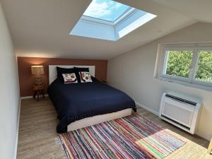 una camera con letto e lucernario di Duplex 45m2 avec SDB - WC a Saint-Thomas