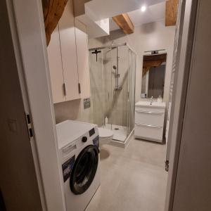 y baño con ducha y lavadora. en Apartament Centrum 4, en Leszno 4 fotos más