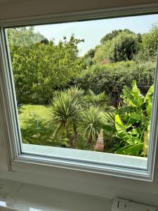 una finestra con vista su un giardino di Duplex 45m2 avec SDB - WC a Saint-Thomas