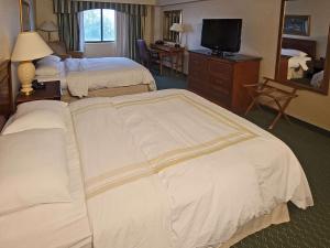 Postel nebo postele na pokoji v ubytování Radisson Hotel Cedar Rapids