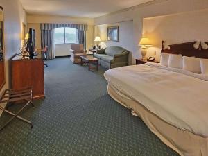Postel nebo postele na pokoji v ubytování Radisson Hotel Cedar Rapids