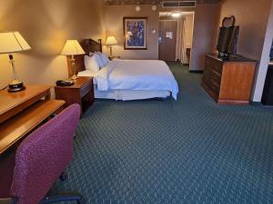 Postel nebo postele na pokoji v ubytování Radisson Hotel Cedar Rapids