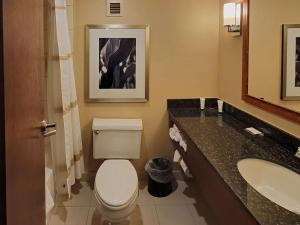 Koupelna v ubytování Radisson Hotel Cedar Rapids