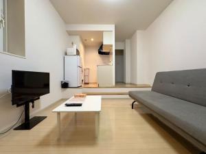 TV a/nebo společenská místnost v ubytování 411札幌駅7分と大通駅徒歩6分で好立地な都心を満喫でき綺麗な部屋で快適が生活が実現