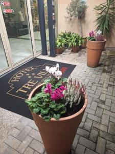 a pot of flowers and plants in front of a store at Hotel Tre Ville in Parma