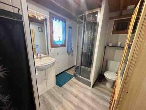 a bathroom with a shower and a sink and a toilet at Chalet douillet 4 personnes -Proche plage in Merville-Franceville-Plage +18 photos