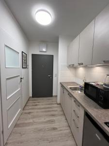 Kuchyňa alebo kuchynka v ubytovaní Wileńska Express Apartment