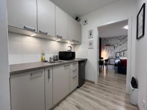 Kuchyňa alebo kuchynka v ubytovaní Wileńska Express Apartment