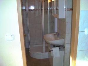 a bathroom with a sink and a shower at Paul-S Apartman in Bad Hofgastein +69 photos