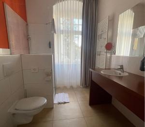a bathroom with a toilet and a sink at Hotel Schwibbogen Altstadt & Apartments in Görlitz +58 photos