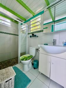 a bathroom with a toilet and a sink at Alpinia bungalow in Sainte-Anne