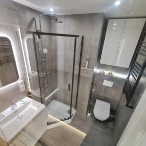 a bathroom with a shower and a toilet and a sink at Central Park Green Apartament in Wrocław +31 photos