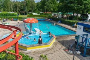 a group of people in a pool at a park at Lodge geschikt voor 4 personen in Wijster