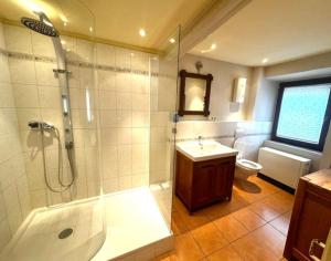 a bathroom with a shower and a sink and a toilet at Großzügiges Haus in Moselnähe in Neumagen-Dhron +38 photos