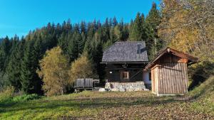 a log cabin in the middle of a hill at Waldhütte Stifthube in Obertal