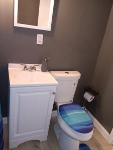 a bathroom with a white toilet and a sink at Experience a home near Cleveland Clinic & parks in Cleveland
