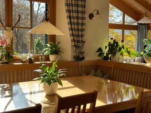 a dining room table with potted plants and windows at Zwieslerwaldhaus4 in Lindberg