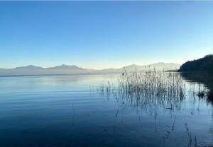 a large body of water with some grass in it at Naturpension Rottau in Rottau