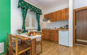 Kuchyň nebo kuchyňský kout v ubytování One-Bedroom Apartment In Tar-Vabriga