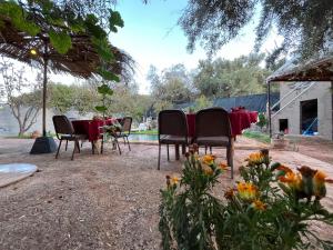 a group of chairs and a table in a yard at Villa Djana Ouirgane in Ouirgane