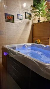 Φωτογραφία από το άλμπουμ του Villa, Vikendica - Sunny Hill - jacuzzi, sauna στη Μπάνια Λούκα +27 φωτογραφίες