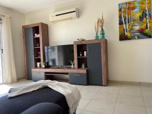 Televisyen dan/atau pusat hiburan di Star Apt in front Nissi whit Sea View
