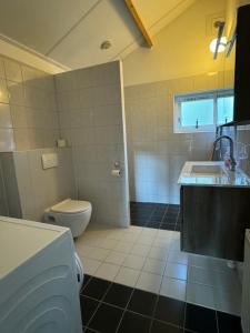 un baño con inodoro y lavabo en Boshiem, en Bakkeveen