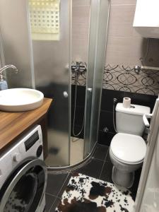 a bathroom with a toilet and a sink and a washing machine at Urban Apartment in Kumanovo +26 photos
