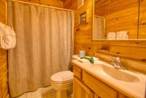 セバービルにあるDare To Bear #238のトイレ、洗面台、シャワー付きのバスルーム +21枚の写真