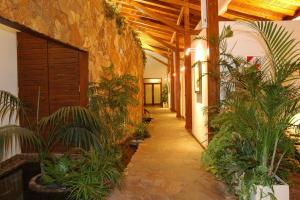 Zahrada ubytování Hotel Resort Posta De Juarez