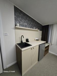 a small kitchen with a sink and a counter at Face 3 Center SUBOTICA in Subotica
