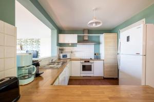 a kitchen with green walls and a white refrigerator at Villa Tramontane vue panoramique PYLA SUR MER in La Teste-de-Buch