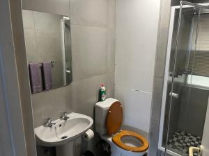 a bathroom with a toilet and a sink and a shower at Mzingazi waterfront in Richards Bay